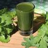 Apa manfaat yang didapat dari minum jus seledri? Https Encrypted Tbn0 Gstatic Com Images Q Tbn And9gcra Wkp Iljvoqlw1s Iv3scnonwrpg Brxty Qa5wvfrwb2llm Usqp Cau