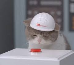 Itt Gif On Imgur Cats Cat Memes Funny Animals