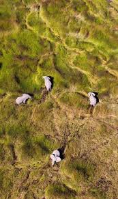 Video viral gunung rowo bergoyang ya ini adalah salah satu video yang lagi viral ditahun 2021 entah siapa yg merekam dan mengaploat hingga video ini. 70 Amazing Shot Ideas Beautiful Places Wonders Of The World Pictures