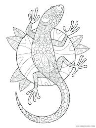 Check spelling or type a new query. Adult Animals Coloring Pages Gecko For Adults Printable 2020 155 Coloring4free Coloring4free Com