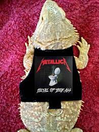 14 99 Lil Bestie Bearded Dragon Reptile Harness And Leash Metallica Ebay Home Garden Bearded Dragon Care Baby Bearded Dragon Bearded Dragon