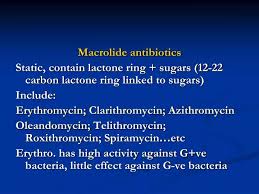 Image result for Macrolide