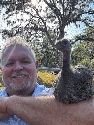 Healing from loss of pet chickens to predators?