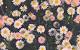 Minimalist Aesthetic Flower Wallpaper