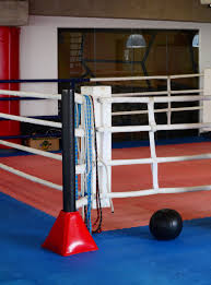 Fighter Floor Training Ring 19 5ft Kickboxing Training Martial Arts Floor Boxing Gym