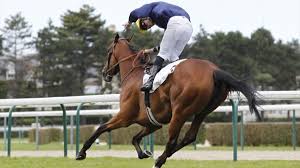 View results and future entries as well as statistics by course, race type and prize money. Cravache D Or Pierre Charles Boudot Passe Les 200 Succes Eurosport