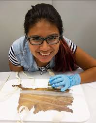 Italy: Turin Museology