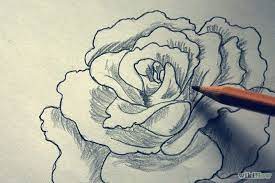 How To Shade A Flower Rose When Drawing With A Graphite Pencil Flower Drawing Drawings Art Tutorials