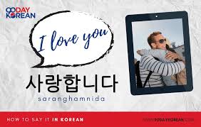 First name, last name, college/university name, date of birth) must be shared with sheerid for verification purposes. How To Say I Love You In Korean Don T Mess This Up