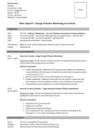 Une jeune diplômée cherche le job de ses rêves. Exemple Cv Jeune Diplome Charge Etudes Marketing