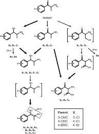 3-CMC, 4-CMC, and 4-BMC Human Metabolic Profiling: New Major Pathways to  Document Consumption of Methcathinone Analogues? | The AAPS Journal