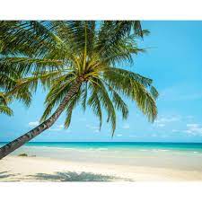 Check spelling or type a new query. Brewster Paradise Beach Wall Mural Wr50525 The Home Depot
