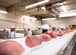 So let's hop into that real quick today. Lubricating The Halal Food Market Engineer Live