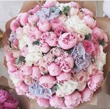 Welcome to the rouvalis flowers & gardens online! Pink Peony Flower Peony Peonies For Sale Flowers Near Me Luxury Flowers Beautiful Flower Arrangements Bridal Wedding Flowers