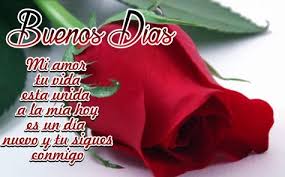 Imagenes De Rosas Con Frases Bonitas De Buenos Dias Imagenes De Flores Hermosas En 2020 Rosas Con Frases Bonitas Frases De Rosas Frases Bonitas De Buenos Dias