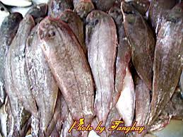 ปลาลิ้นหมา ปลายอดม่วงน้ำจืด มี 5 ชนิด คือ brachirus panoides, brachirus harmandi, achiroides leucorhynchos, achiroides melanorhynchus และ euryglossa siamensis ซึ่งทั้งหมดอยู่ในวงศ์ soleidae ปลากลุ่มนี้ อาจนำมาเป็นสัญญาณ. à¸›à¸¥à¸²à¸¥ à¸™à¸«à¸¡à¸²
