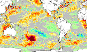 Hot Blob Vast Patch Of Warm Water Off New Zealand Coast Puzzles Scientists In 2020 New Zealand Heat Map Scientist