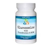 Best Glucosamine Chondroitin Supplement + MSM | Gary's ...
