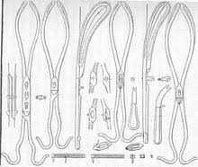 Fórceps by yusho leon 21056 views. Obstetrical Forceps Wikipedia