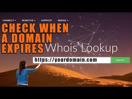 How To Check Expiry Date Of A Domain Easy Method Youtube