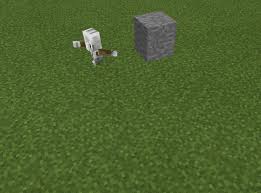 They are very useful but can only be spawned in via the minecraft give command as they cannot be crafted. Agent Build