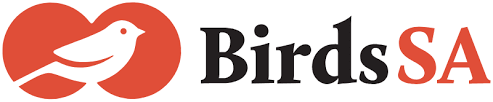 Sa company, boca raton, florida. Birds Birding Birdwatching South Australia Australia
