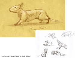 We did not find results for: Hanna Kenakkala Vilppu Academy Animal Drawing Class