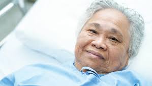 Nepean News 27 June 2025 by Nepean News