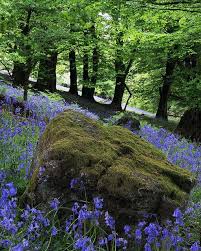 Tea On The Devils Table Brecon Beacons Traditional Landscape National Parks
