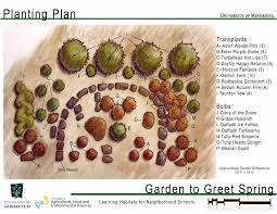 This is especially helpful when you're planting a large number of bulbs. Bulb Garden Plan Idioticfashion