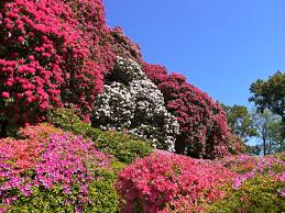 Sehenswert Am Comersee Villa Carlotta Garten Comersee Villa