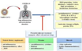 Monosaccharides), glucose, fructose and galactose are examples of ____. Dietary Supplements Vitamins And Minerals As Potential Interventions Against Viruses Perspectives For Covid 19 International Journal For Vitamin And Nutrition Research