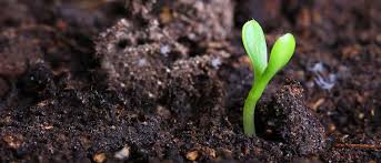 Online shopping for fertilizers & plant food from a great selection at patio, lawn & garden store. Organic Fertilizer Definition Types Benefits Dora Agri Tech