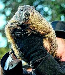 In weather lore, if a groundhog emerges from its burrow on this day and fails to see its shadow because the weather is cloudy, winter will soon end. Either Way You Look At It 02 02 2020 Is Groundhog S Day Times Leader