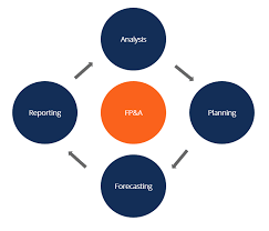 fp a what do financial planning and analysis teams do