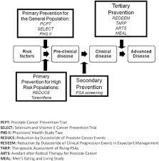 Prostate cancer primary prevention on the web most recent articles. Prostate Cancer Prevention Concepts And Clinical Recommendations Prostate Cancer And Prostatic Diseases