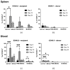 Anti-Gr-1 Antibody Provides Short-Term Depletion of MDSC in Lymphodepleted  Mice with Active-Specific Melanoma Therapy