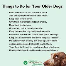 Things You Can Do To Keep Your Older Dog More Comfy And Healthy Dog Health Problems Dog Care Older Dogs