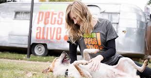 Visit us at www.austindog.org to learn more about austin dog rescue. Grant Awarded To Austin Pets Alive Apa Best Friends Animal Society