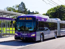 Image result for Bussea