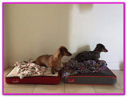 Kevlar Dog Bed Cover Tried And Tested By Rover Office Dogs This Cozy Bed Features A 4 Inch Memory Foam Base Covered Dog Bed Cool Dog Beds Designer Dog Beds