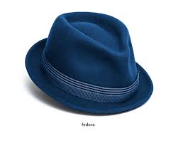 Ob auf raten oder bequem auf rechnung, entscheide selbst, wie du zahlen möchtest. Fedora Noun Definition Pictures Pronunciation And Usage Notes Oxford Advanced Learner S Dictionary At Oxfordlearnersdictionaries Com