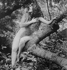 Annette Kellerman: Hollywood's first nude star - BBC News