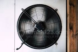 Cara ini mungkin menjadi cara menghilangkan panas di tangan karena cabai yang cukup darurat namun hasilnya efektif. Dibandingkan Kipas Angin Biasa Exhaust Fan Lebih Ampuh Sejukkan Udara Rumah123 Com