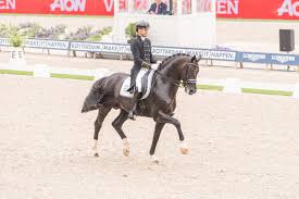 This is the 3rd time in edward gal and totilas, the black grand prix dressage stallion, dominated the world of dressage for. Rotterdam Auch Nationaler Grand Prix Special Wird Zur Beute Von Edward Gal Und Toto Jr