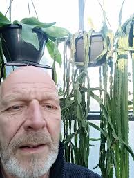 In my local park, I'm 6 ft tall.