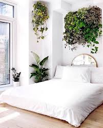 Traiing Plants Hanging Plants Plants On Walls Bedroom Decor Bedroom Plants Plant Wall Decor Bedroom Home Decor Bedroom Bedroom Decor