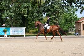 Join facebook to connect with libuše mencke and others you may know. Mecklenburger Landeschampions In Redefin Gekurt Sportverband