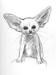 Draw a curved line for the top of the head. Fennec Fox Eskizy Zhivotnyh Risunki Zhivotnyh Risunki