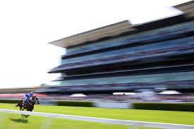 Usually reserved for horses (who'd have thought?) but sometimes hosts special events and gatherings. Royal Randwick Racecourse Sydney Races Australian Turf Club